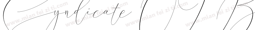 Syndicate OT Bold字体转换